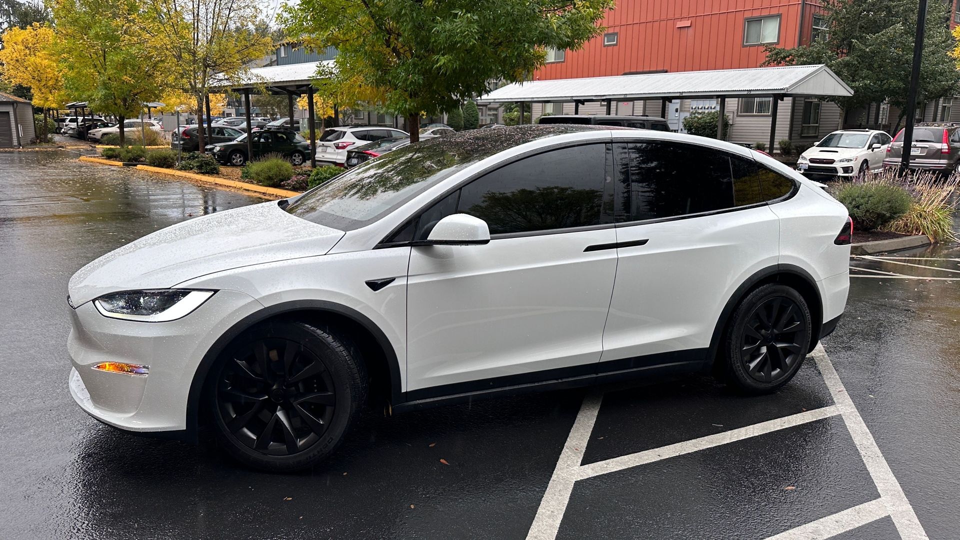White Tesla SUV parked in a wet lot with trees and storefronts in the background