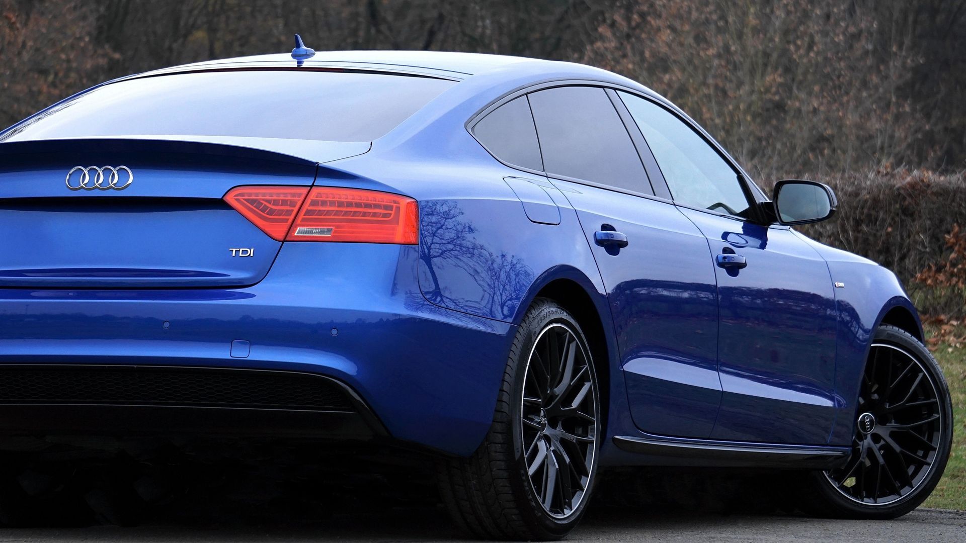Blue Audi sedan viewed from the rear-left, parked outdoors on a road.