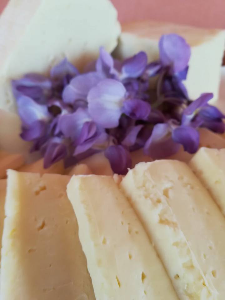formaggio