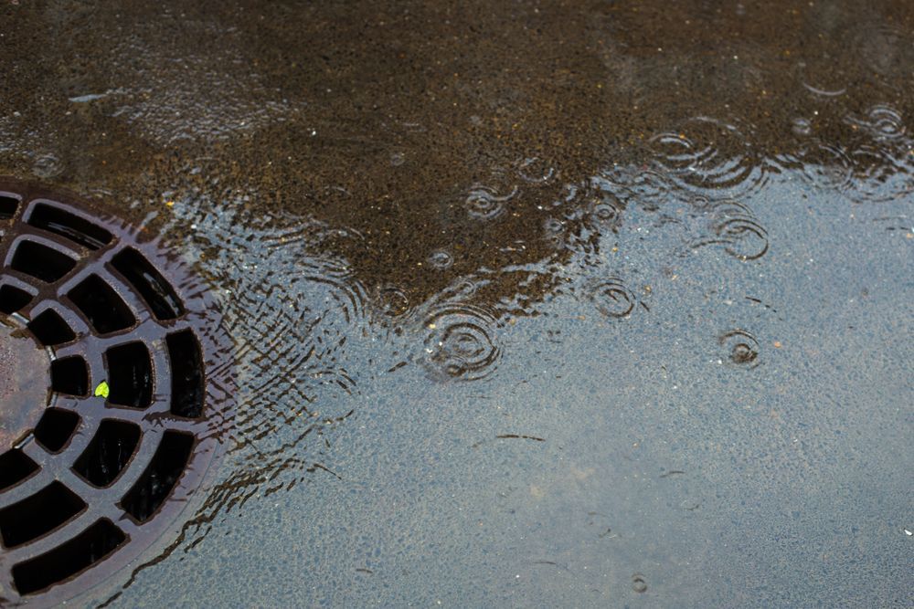 Raindrops Falling on Wet Pavement, Forming Ripples Around a Drain Cover — Hunter Plumbing And Hotwater in Fern Bay, NSW