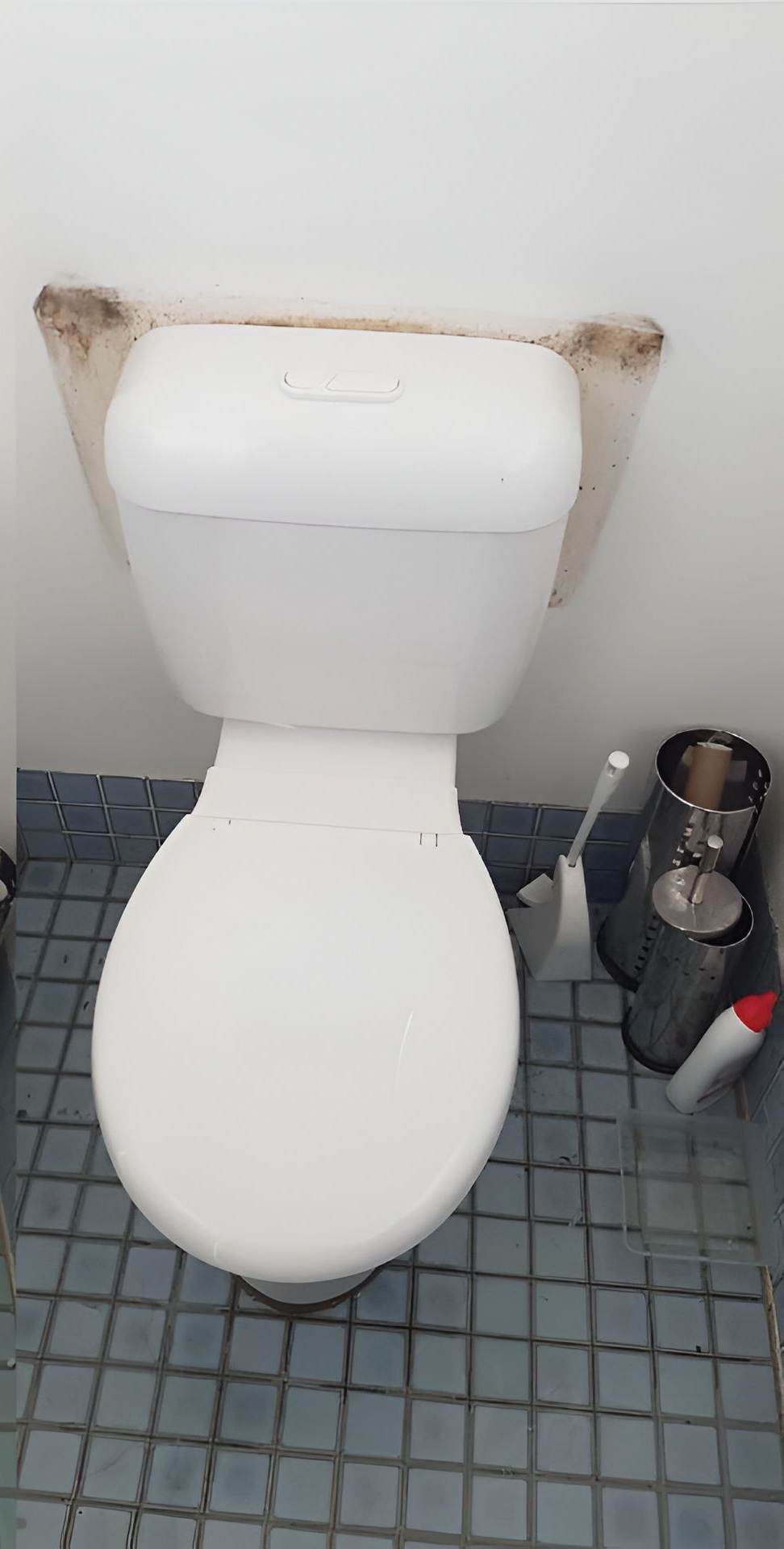Two White Toilets, One Clean, the Other With Mold Stains — Hunter Plumbing And Hotwater in Billinudgel, NSW