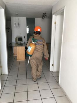 FUMIGACIONES LOUMON