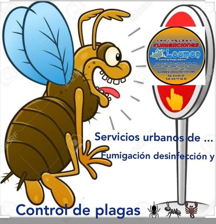 FUMIGACIONES LOUMON