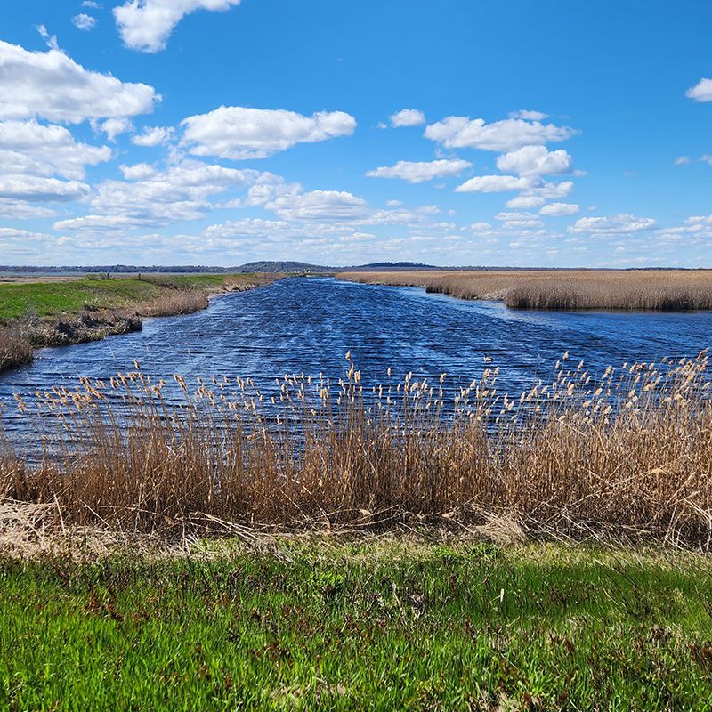 Plum Island
