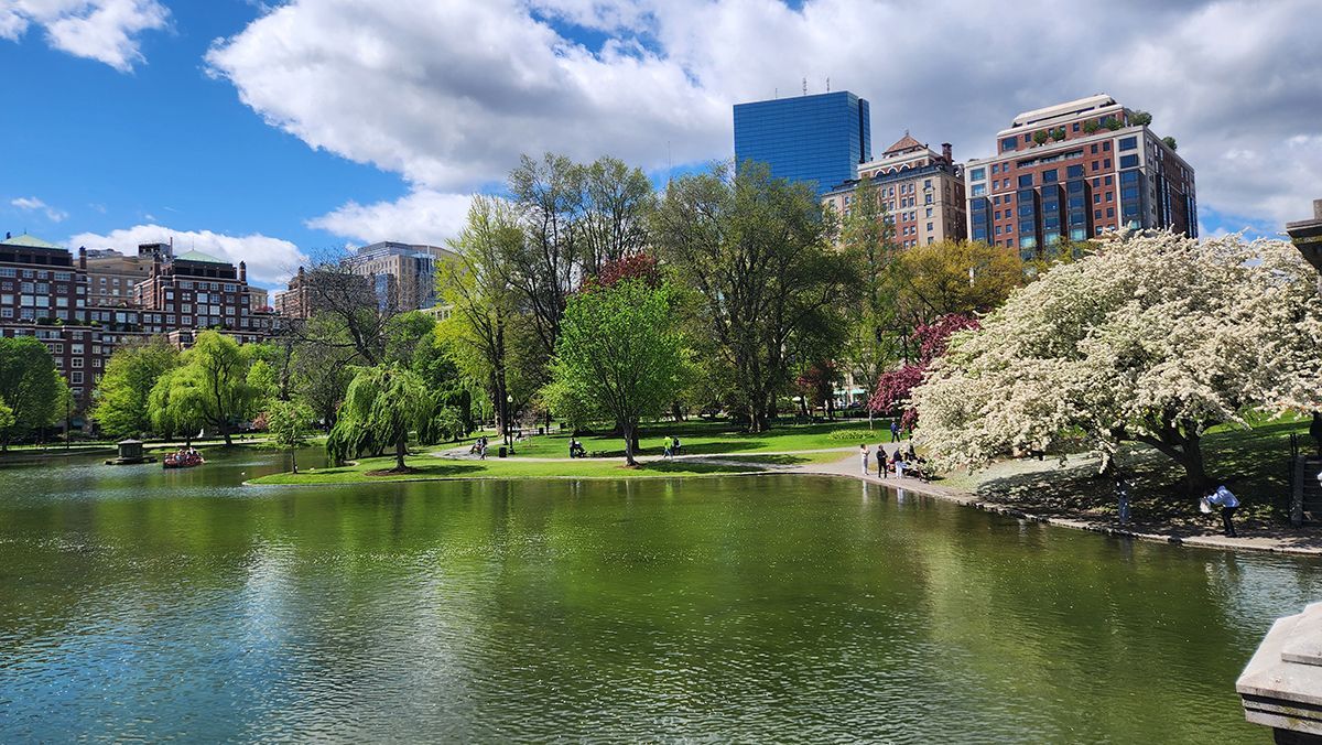 The lagoon in Boston's Public Garden