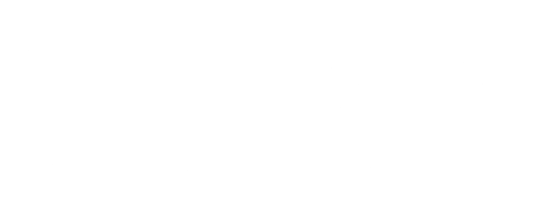 Cambridge MC Executive Search Logo