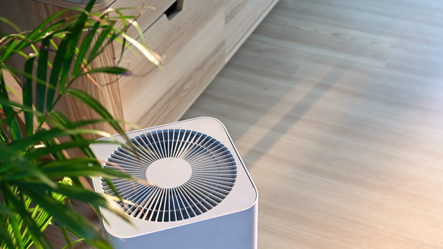 Air purifier on wooden floor beside a green potted plant in a bright room