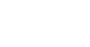 Georgia Home Inspection Services logo 