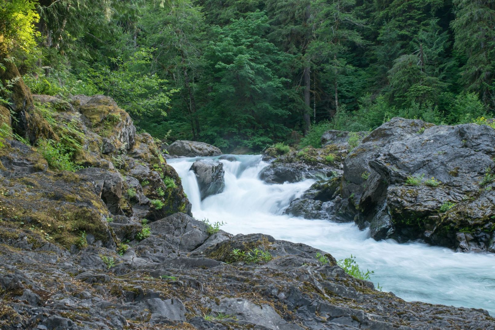 Mountain stream rushing through rocky forest gorge