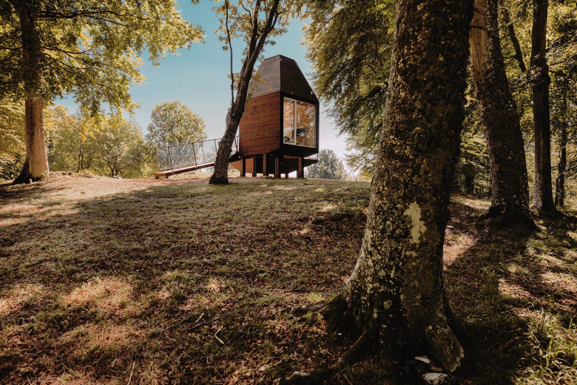 Momo Bellavista Tiny House