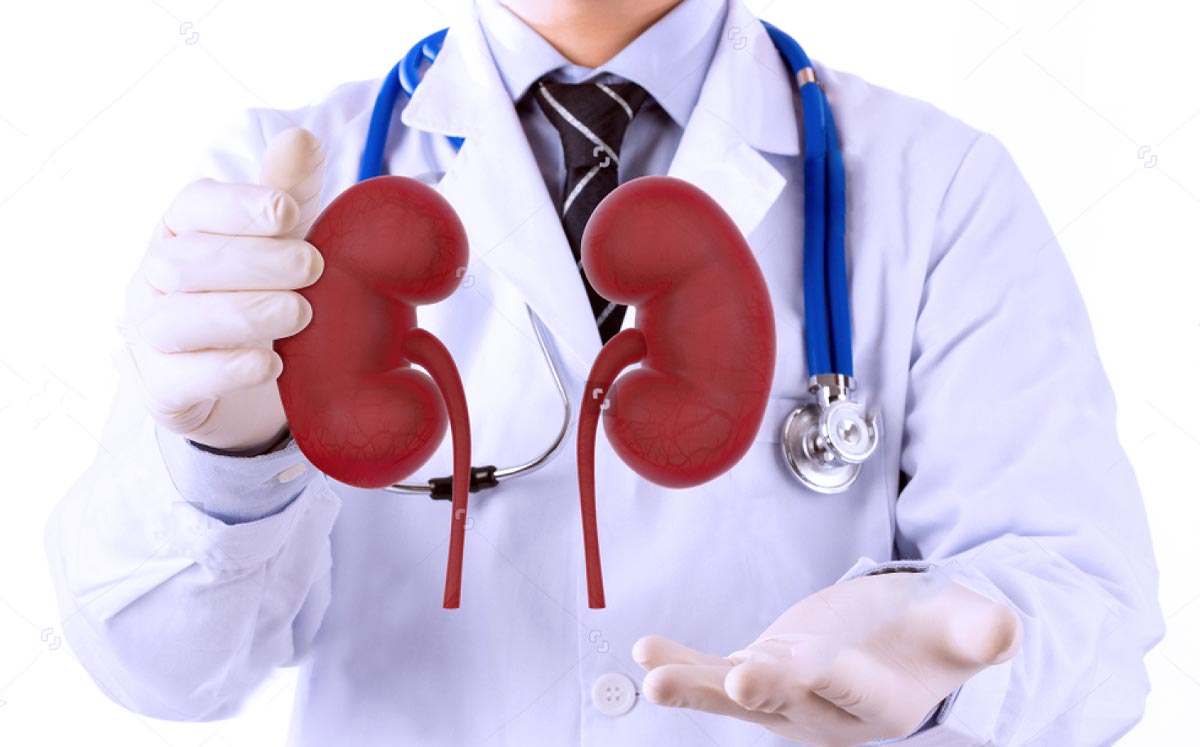 Urologia