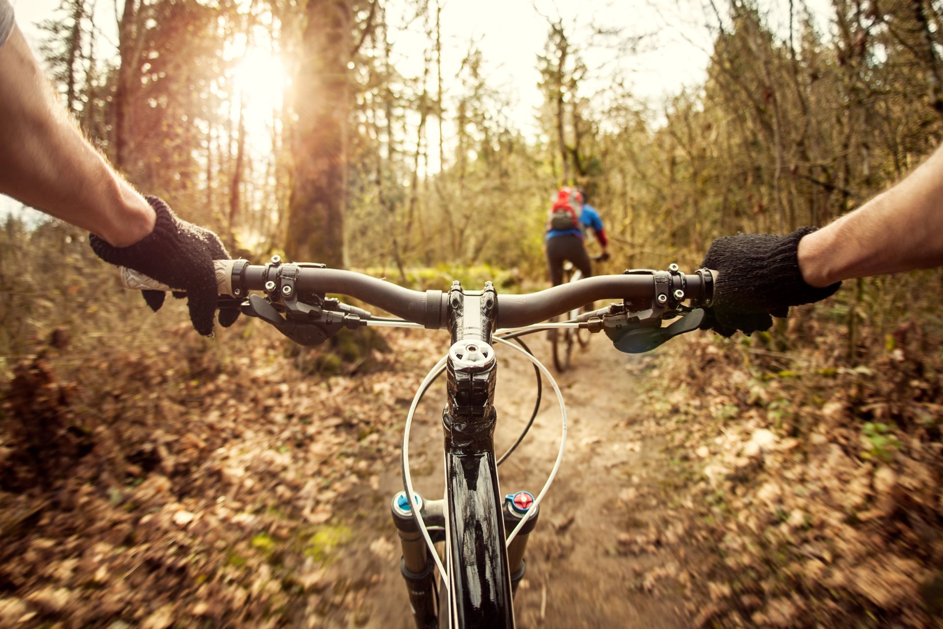 View of mountain bike handles in the fall