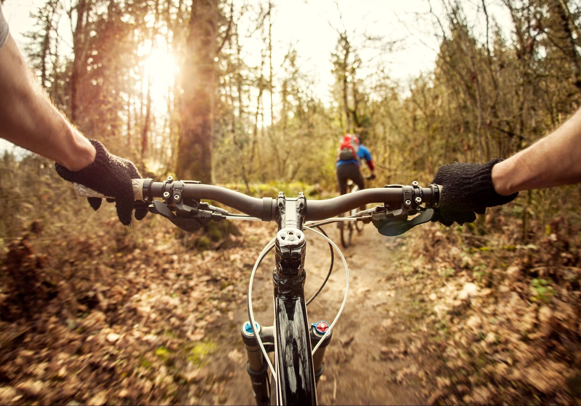 Mountain bike rental in Duluth