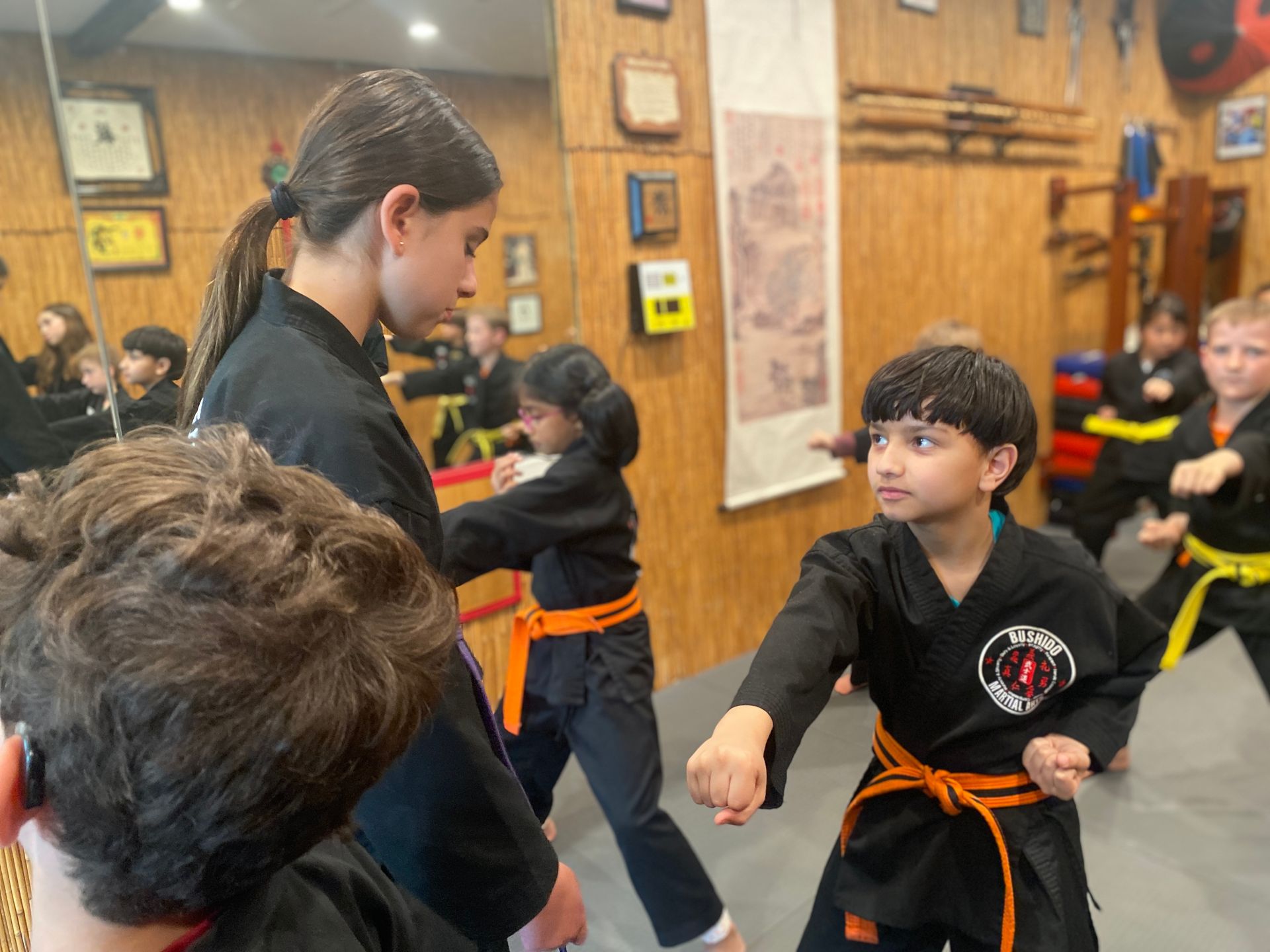 kids martial arts