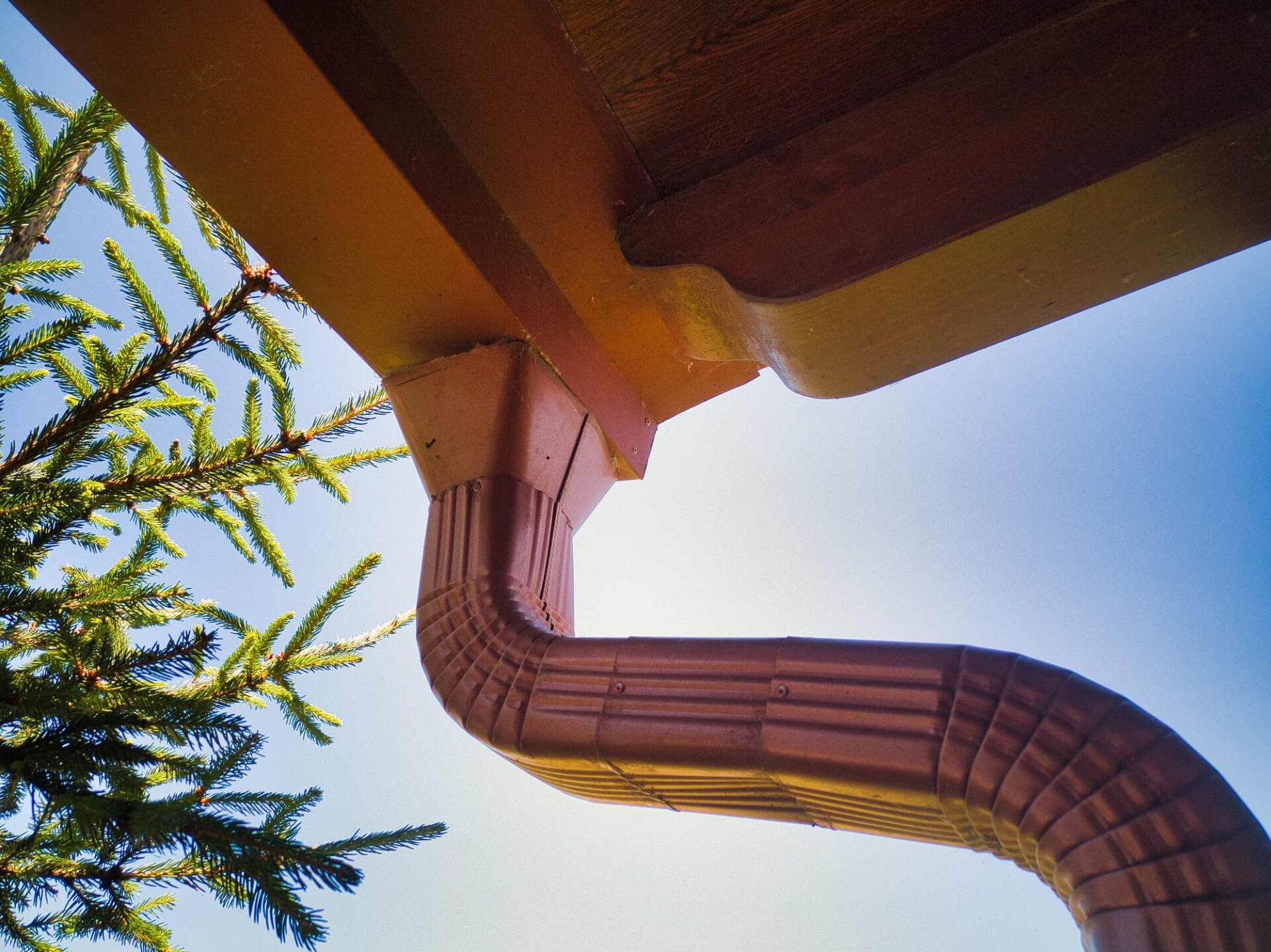 Pest Control Quad Cities Area IowaIllinois Termite