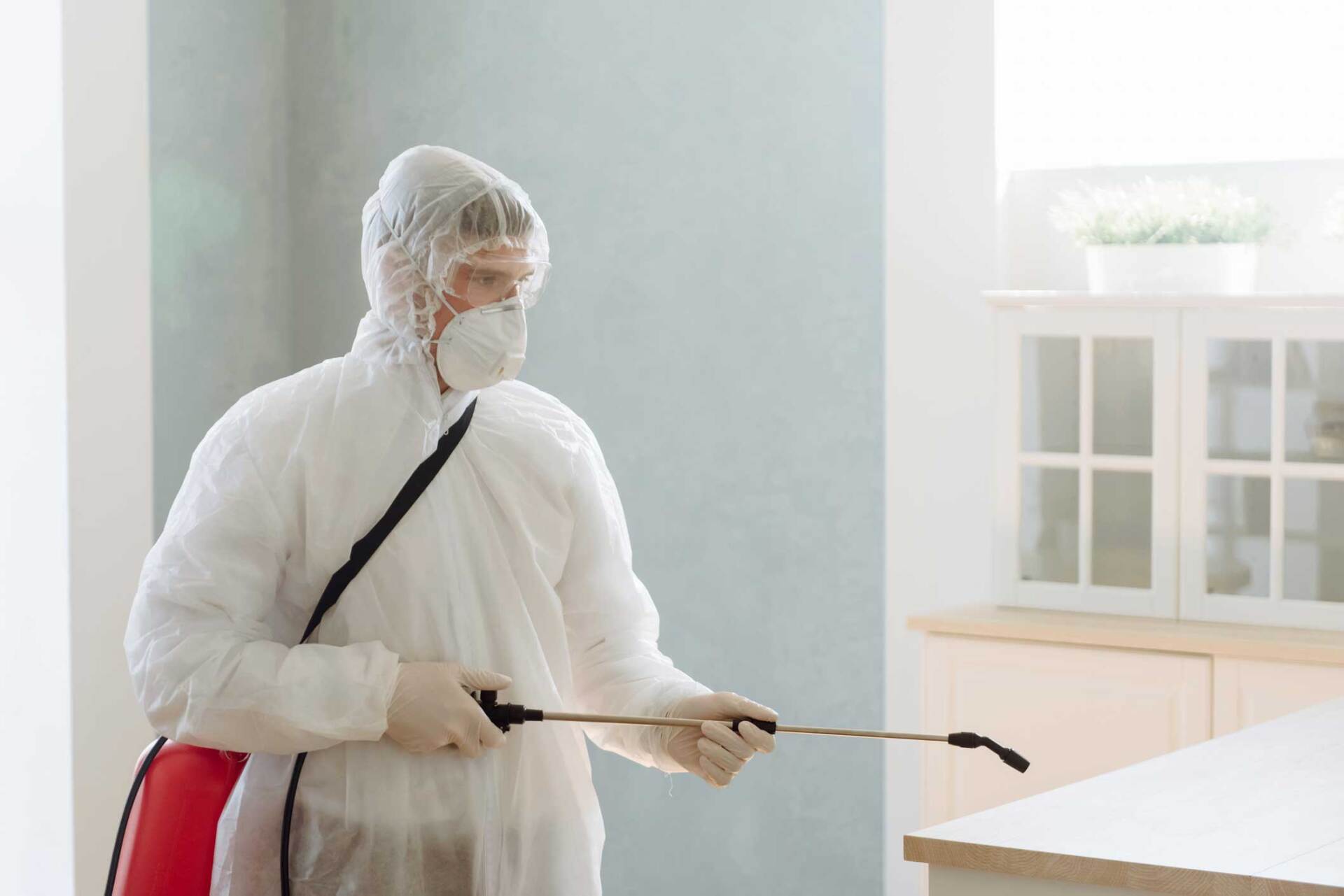 Pest control — Davenport, IA — Iowa-Illinois Termite & Pest Control
