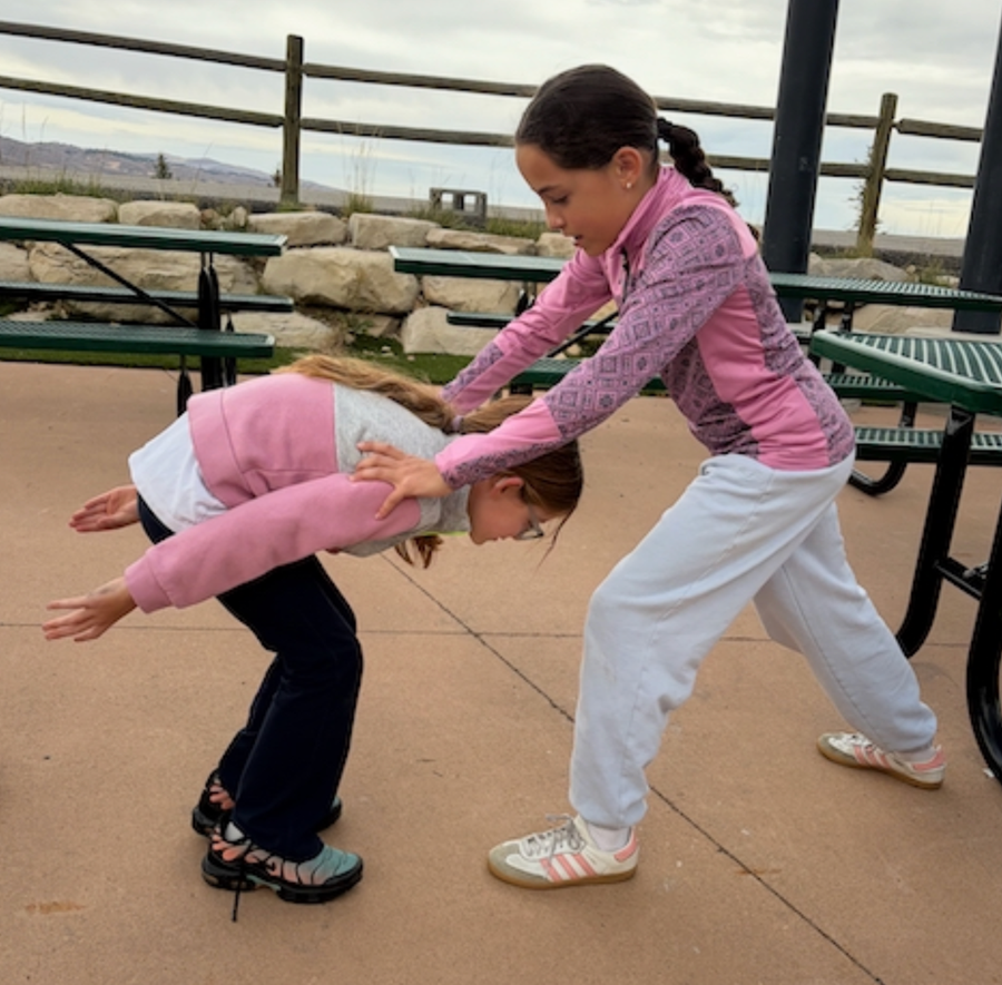 Ski Jumping Dryland