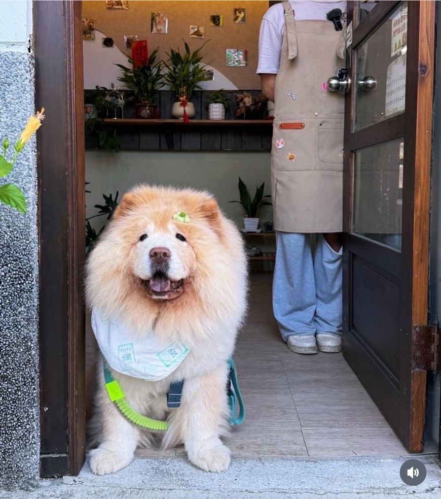 萊恩店長