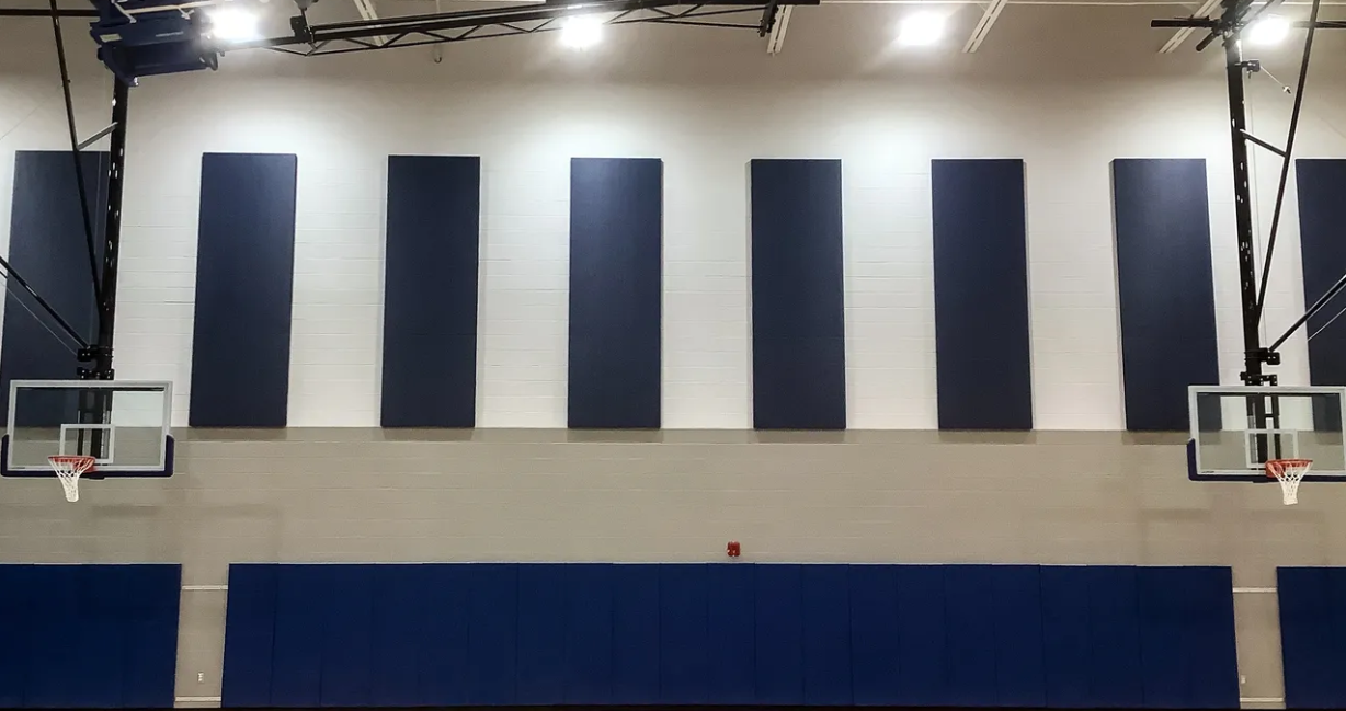 Kokopelli Company Acoustical Panels School Gym New York