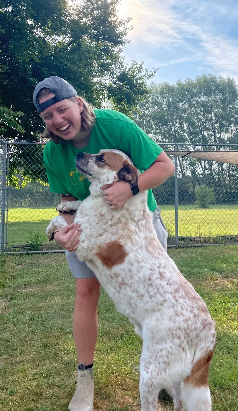 Person in green shirt laughs while holding up a large spotted dog outside.