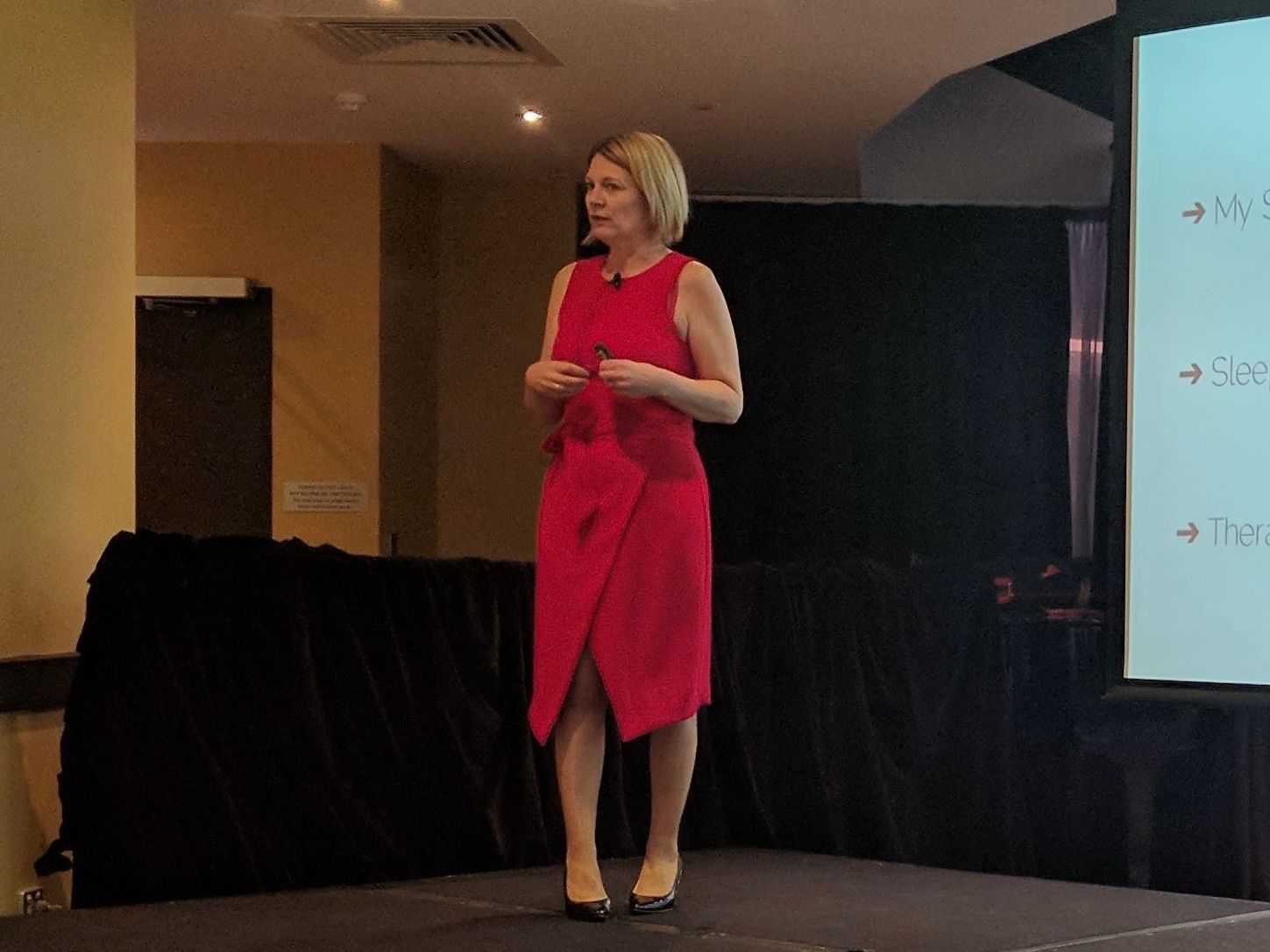 Carol-Anne doing a presentation— The Red Chair Therapy in Blackwall, NSW