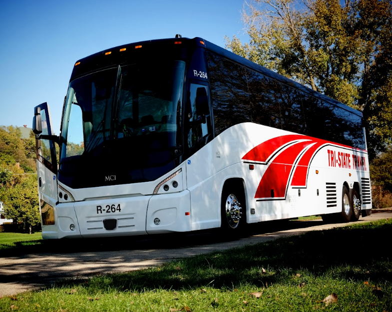 White and red coach bus parked on a grassy roadside under trees on a sunny day