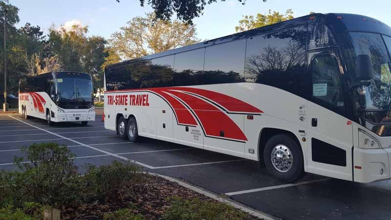 Two white and red tour buses parked along a tree-lined road, one closer in front and one behind.