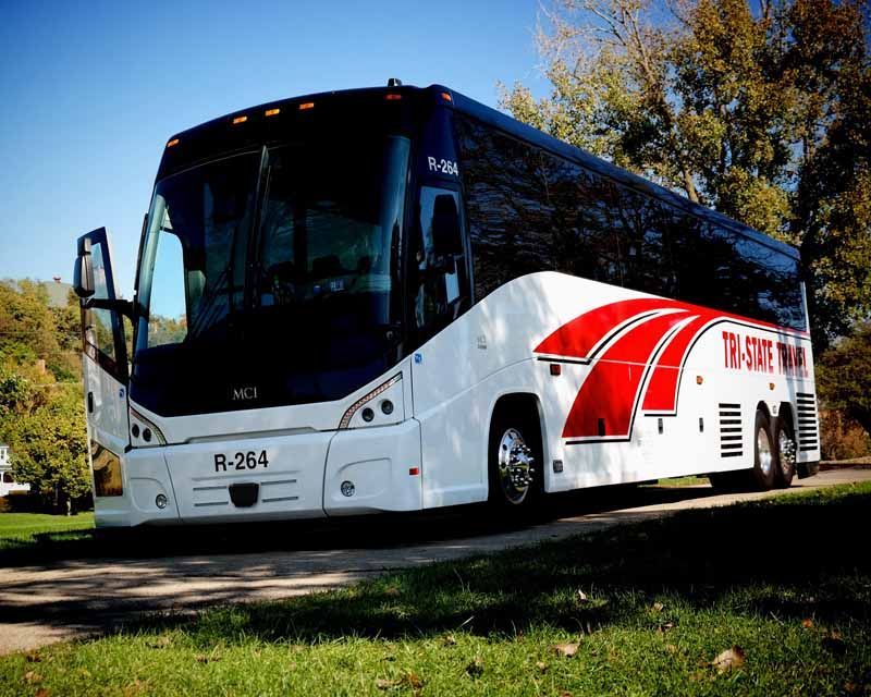White and red coach bus parked on grass under trees on a sunny day