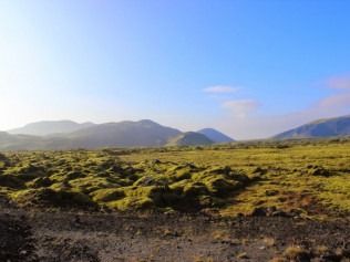 Sunlit grassy plain with distant mountains under a clear blue sky