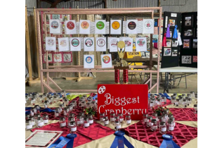 Cranberry display with signs, baskets, and red plaid cloth at a market booth
