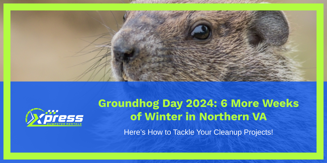 Groundhog Day graphic: groundhog looking at camera with headline 