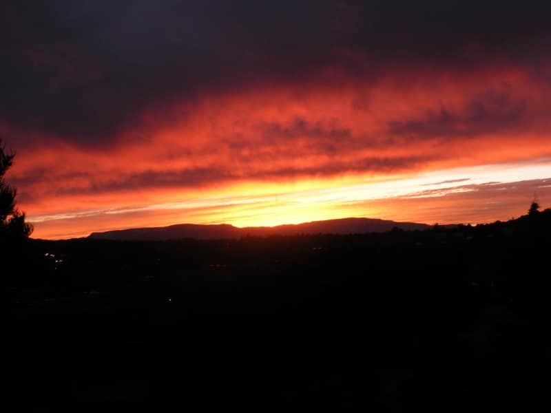 A sunset with a few trees in the foreground