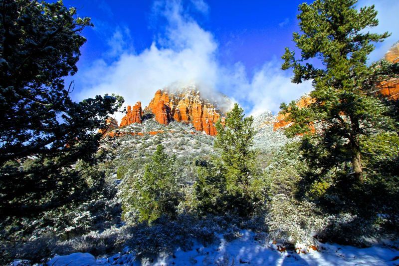 A mountain covered in snow with trees in the foreground
