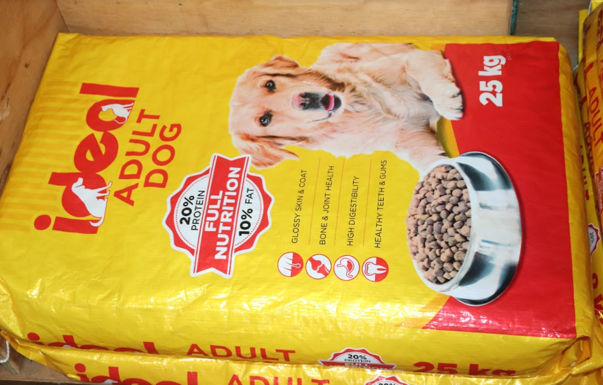 Creatures & Critters pet shop Hillcrest