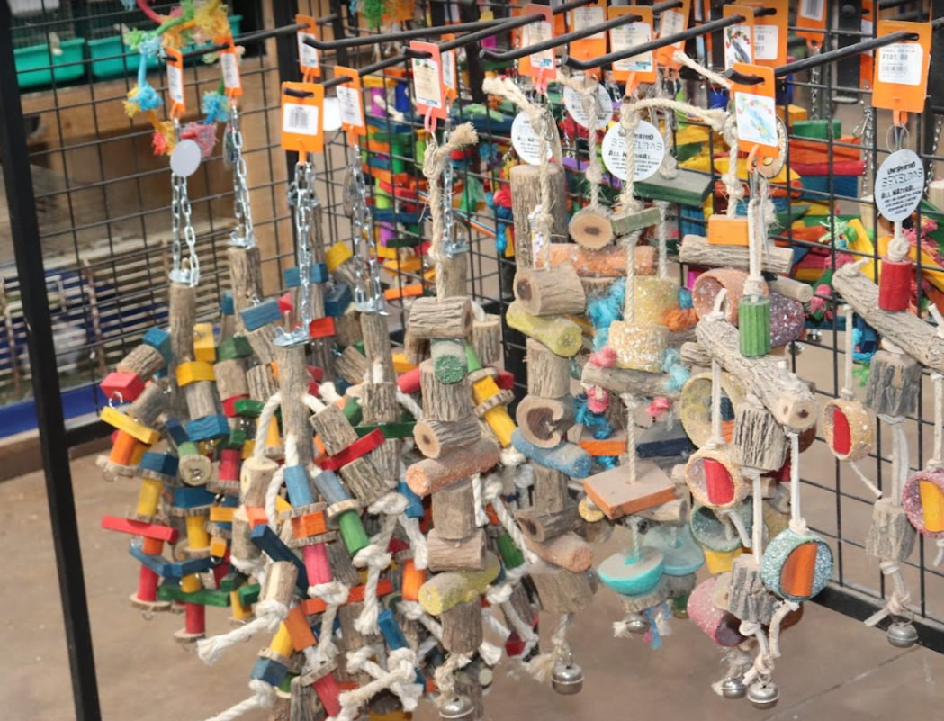 Creatures & Critters pet shop Hillcrest