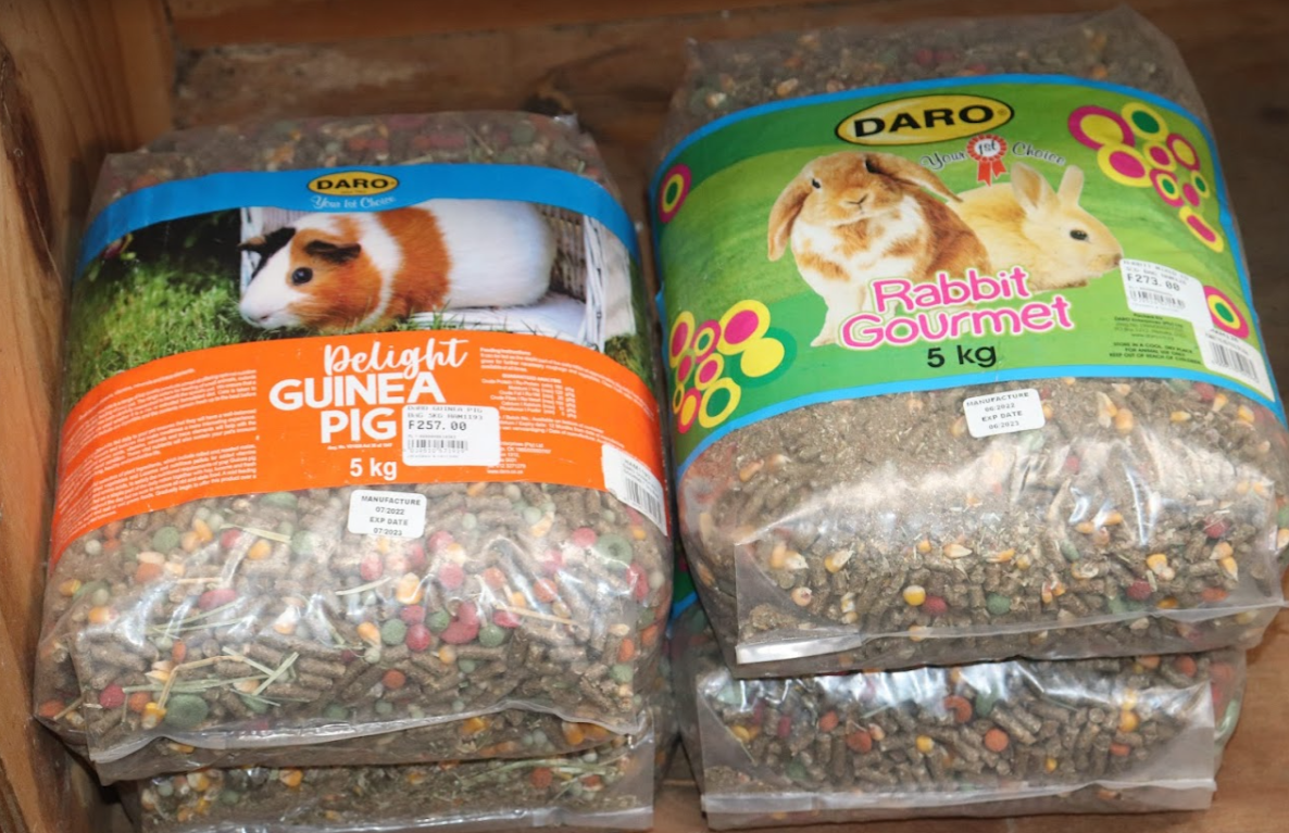 Creatures & Critters pet shop Hillcrest