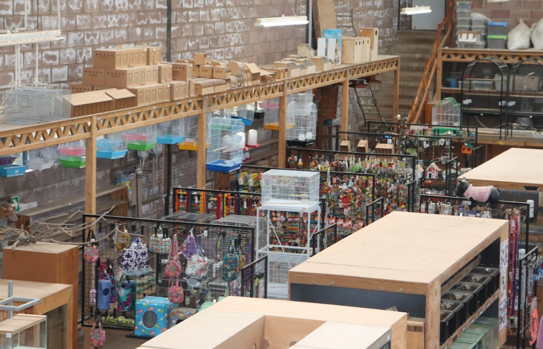 Pet Shops in Durban Creatures & Critters the pet supply store