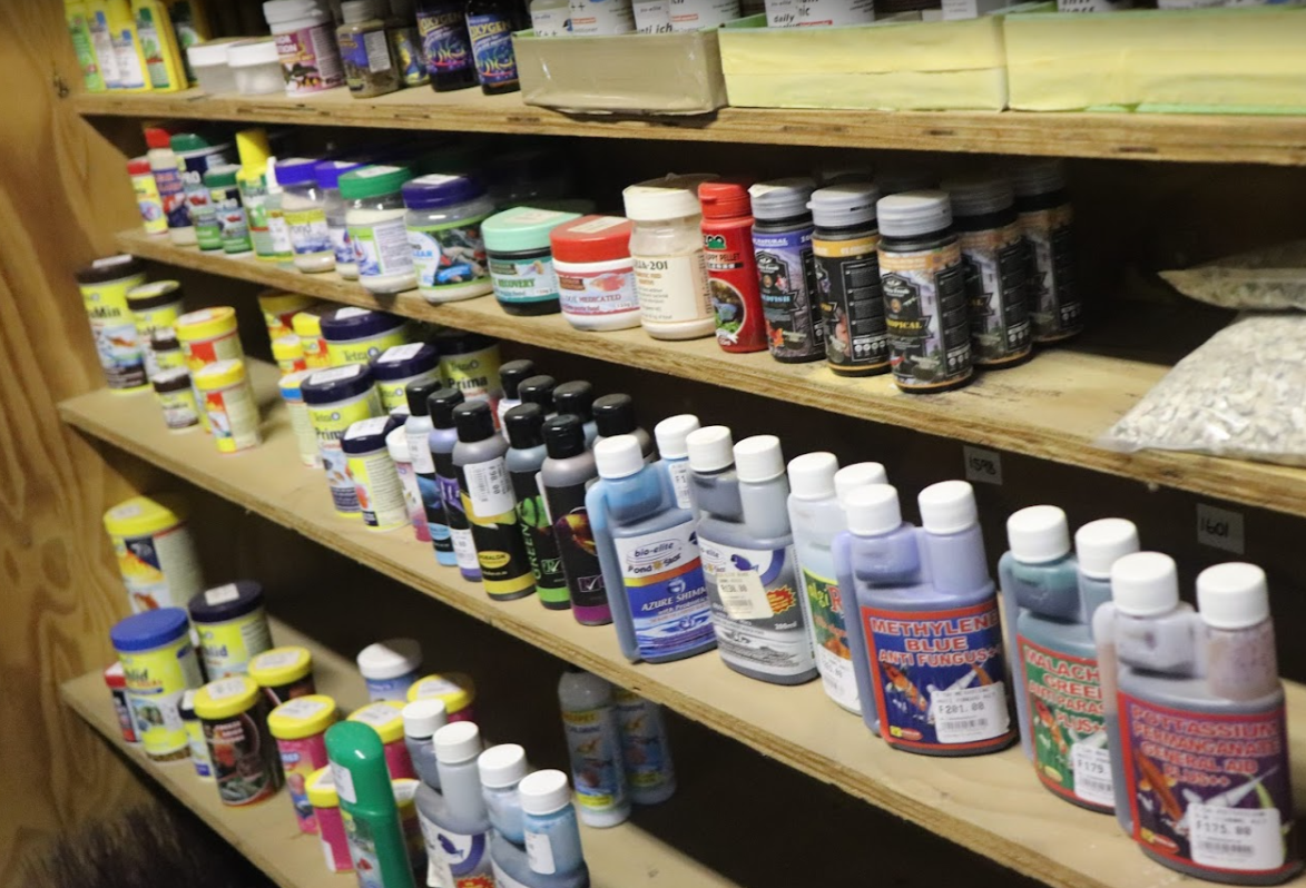 Creatures & Critters pet shop Hillcrest