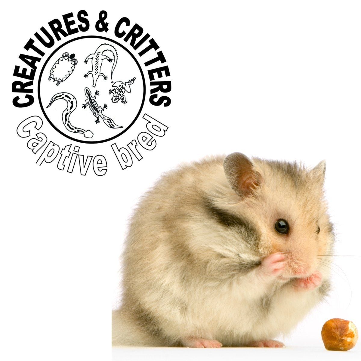 Hamster Food @Creatures & Critters