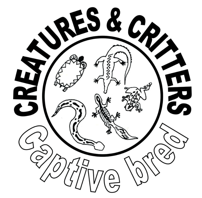 Creatures & Critters Pet shop Hillcrest