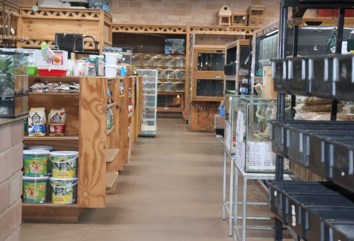 Creatures & Critters Pet shop Hillcrest