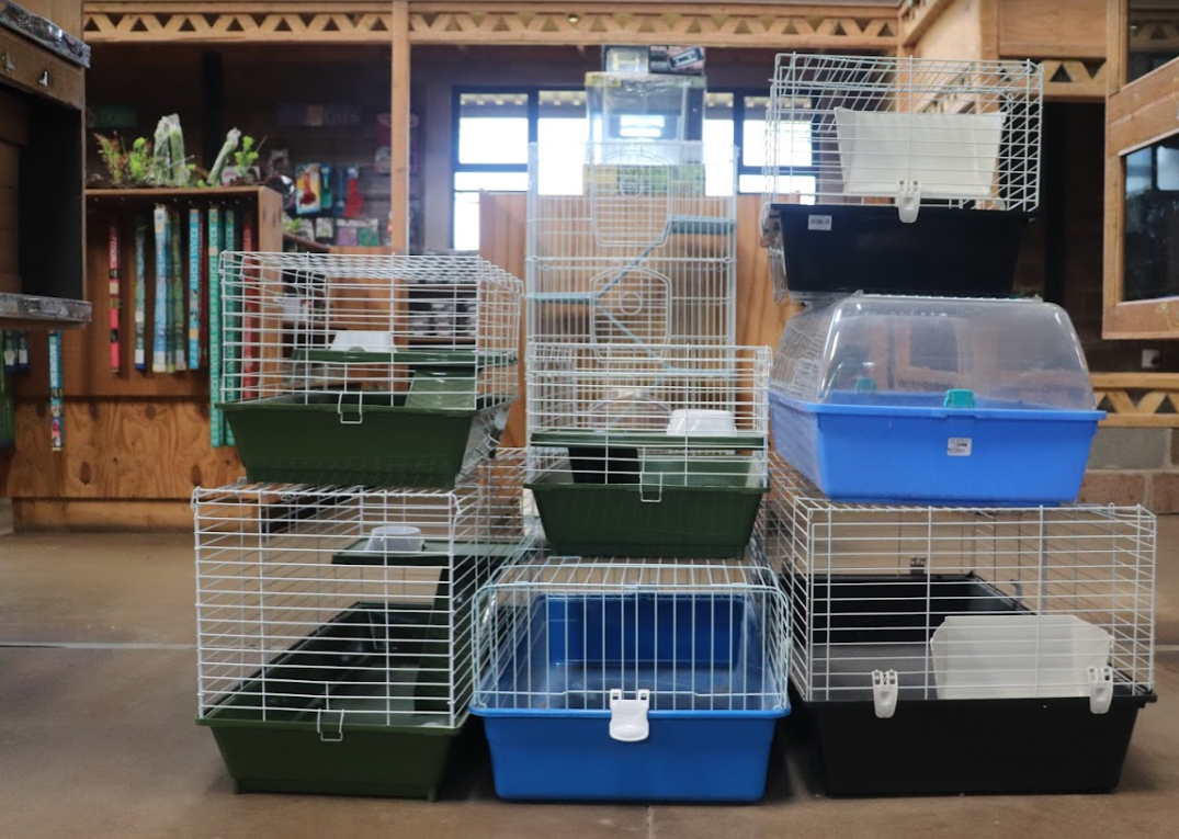 Creatures & Critters Pet shop Hillcrest