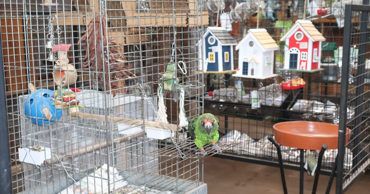 Pet Shops in Durban