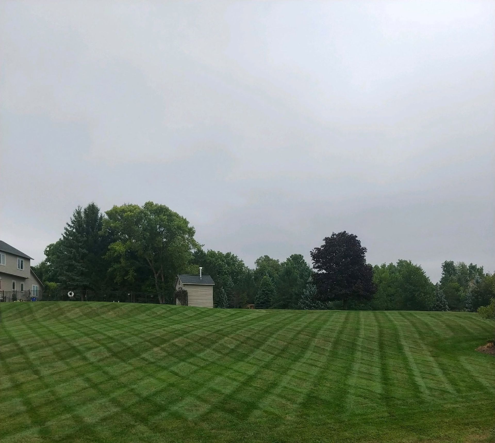 Freshly mowed green field with striped rows, trees, and houses under an overcast sky