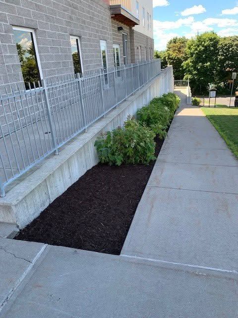 Concrete sidewalk beside a building with a metal railing, bushes, and a mulched planting bed