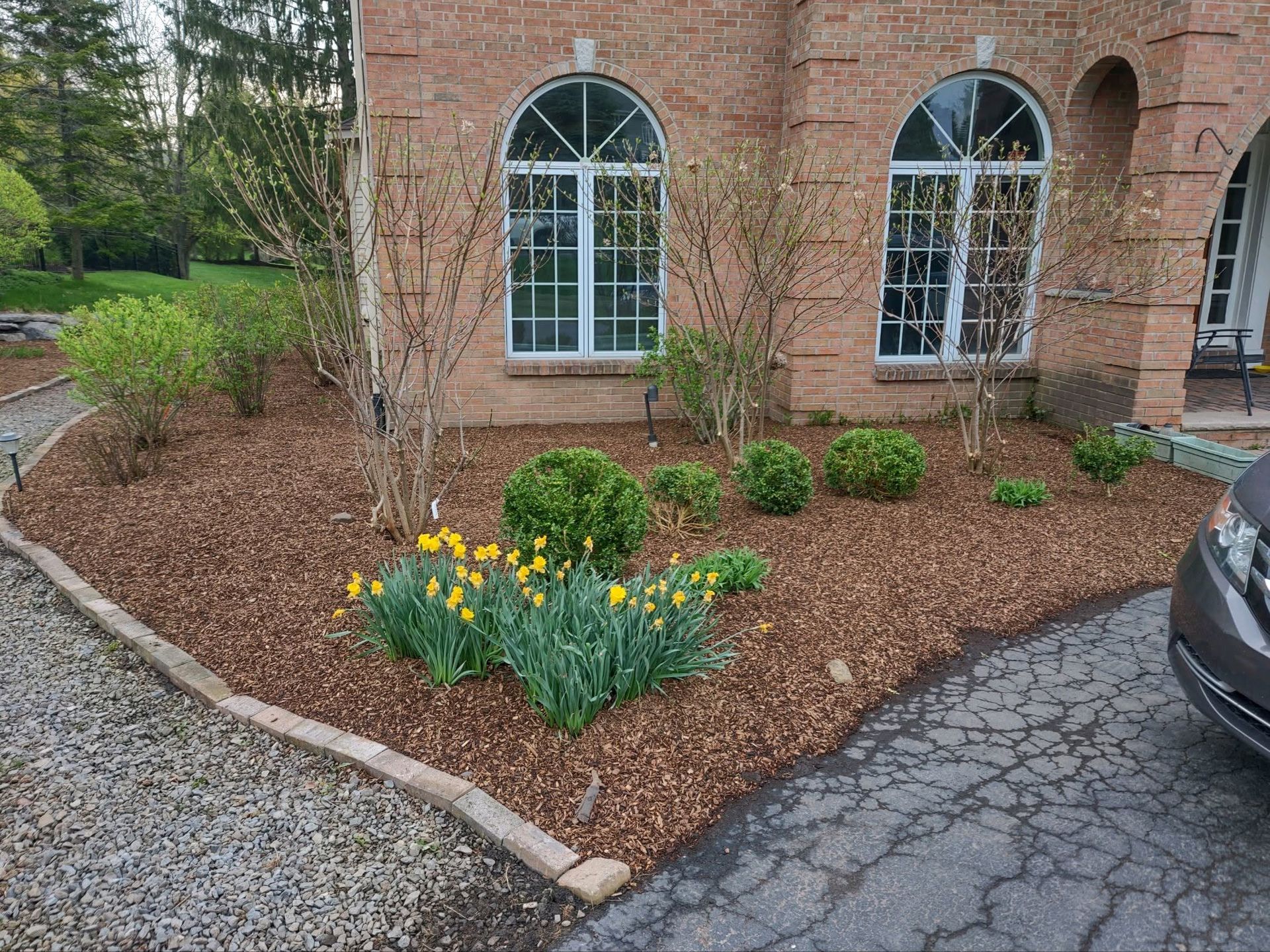 Brick building with arched windows beside a mulched flower bed with yellow tulips and gravel driveway