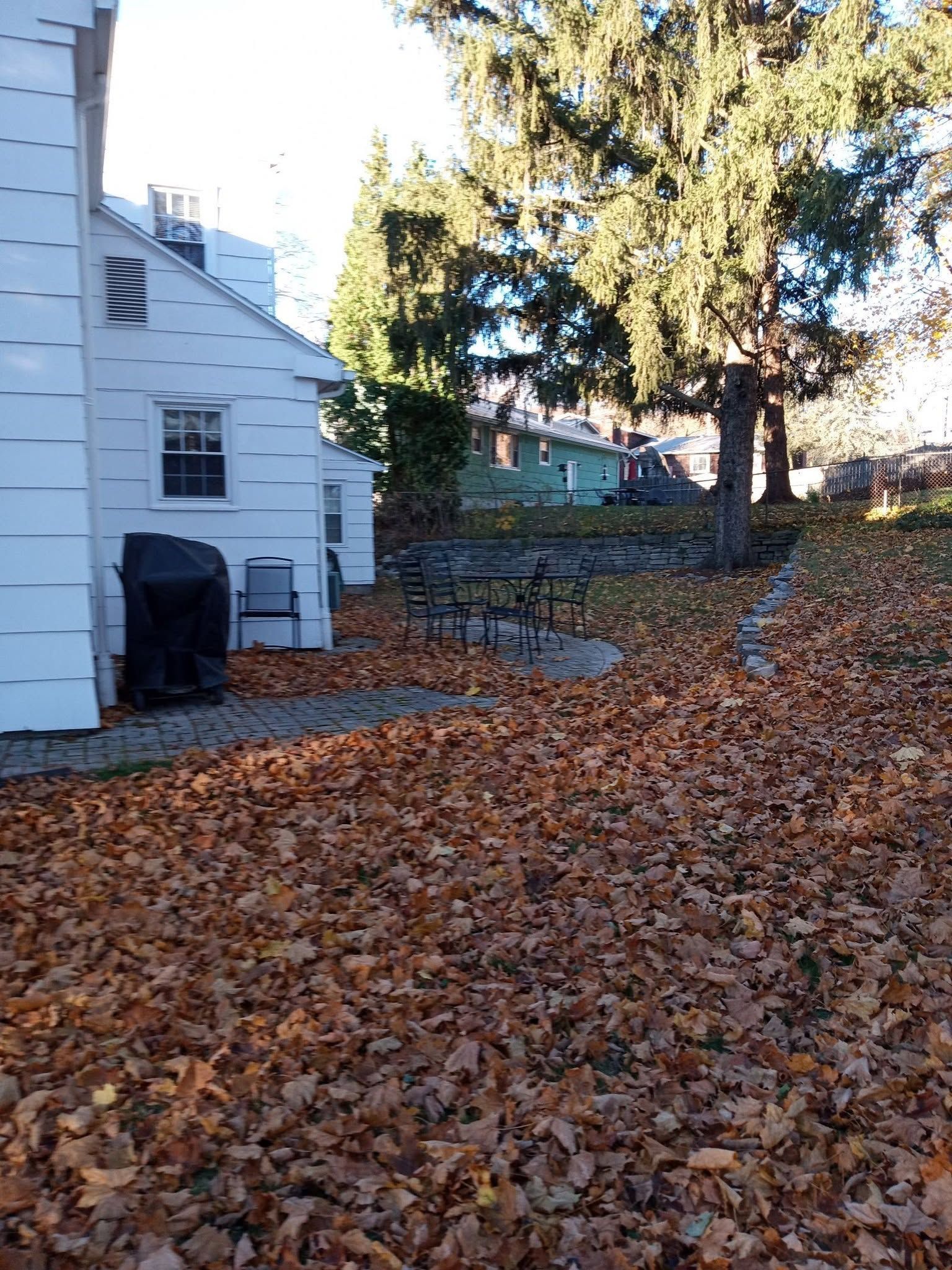 Leaf-covered yard beside a white house, with a black grill and a large tree in autumn light.