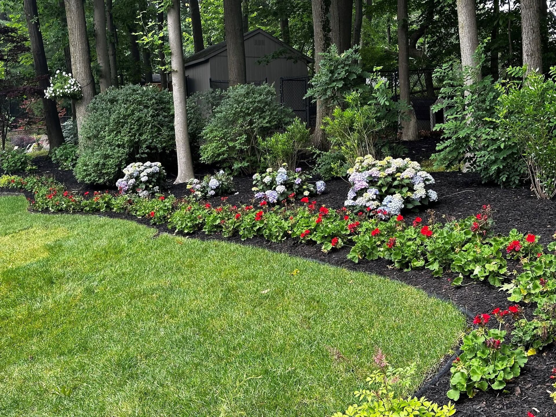 Curved flower bed with red and white blooms bordering a green lawn in a wooded garden