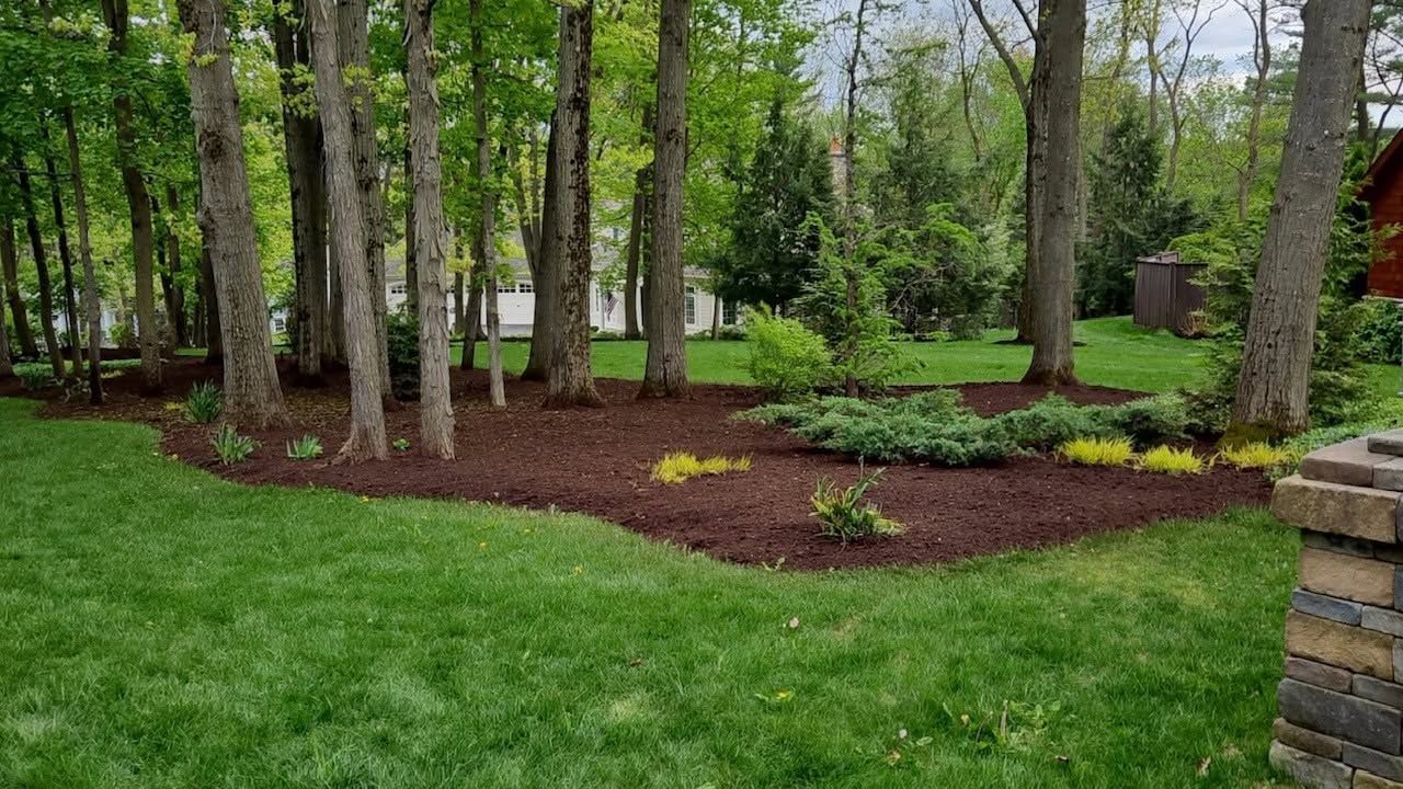 Wooded garden with green lawn, mulched flower bed, and tall trees after rain