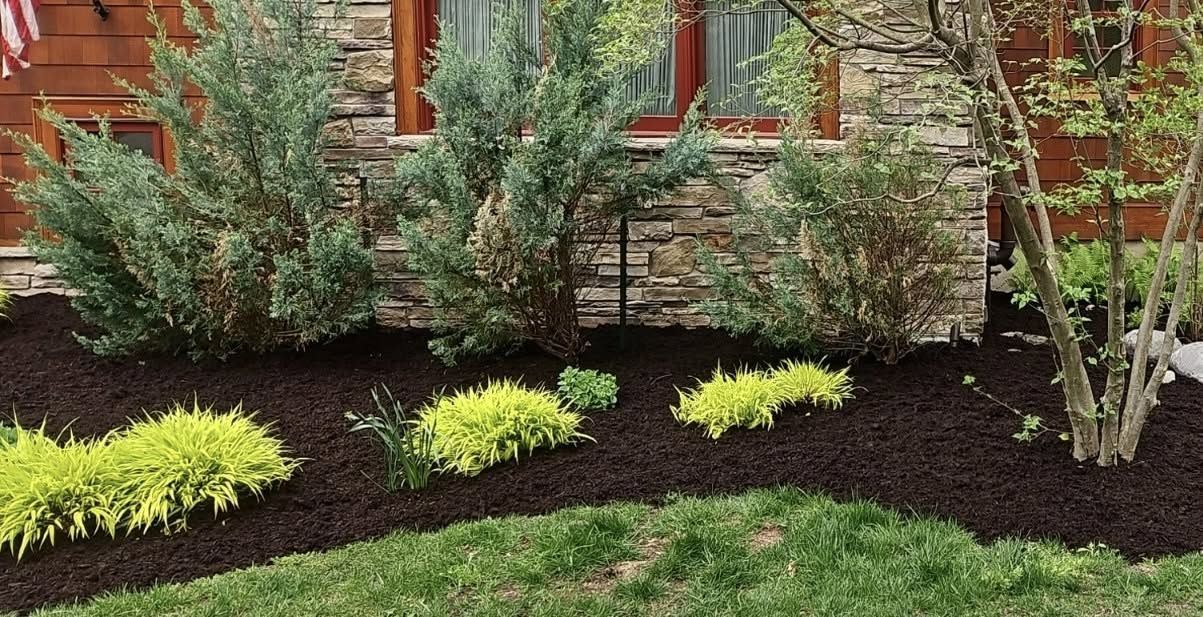 Landscaped garden bed with shrubs and yellow-green plants in front of a brick house